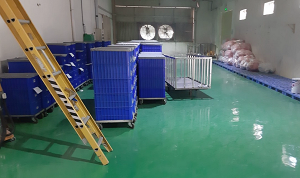 SƠN EPOXY TẠI NHÀ MÁY DỆT HÒA THÀNH, TÂY NINH